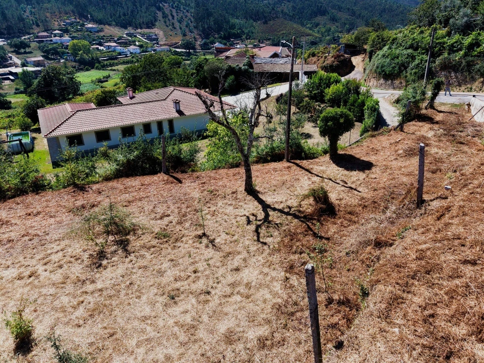 Terreno para Venda em Real Foto 17