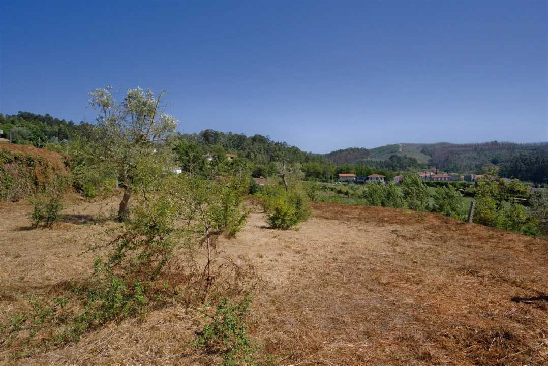 Terreno para Venda em Real Foto 8