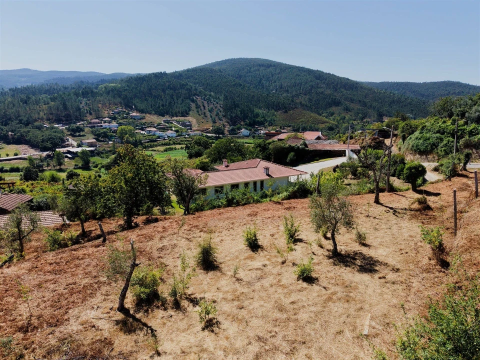 Terreno para Venda em Real Foto 27