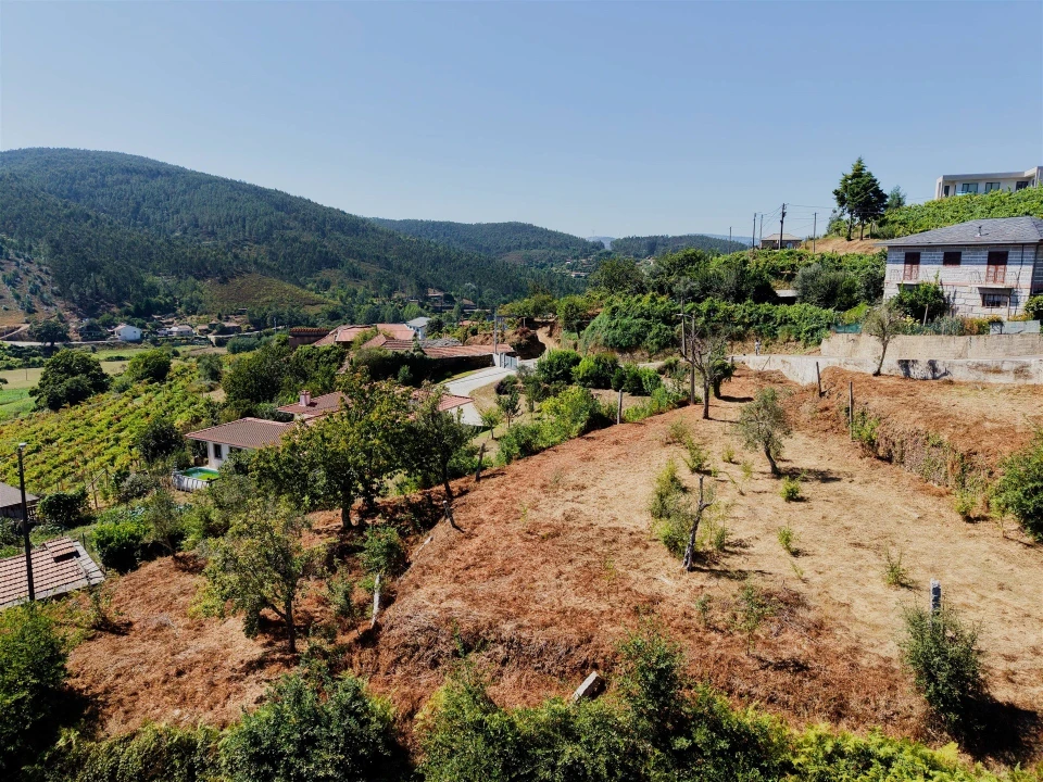 Terreno para Venda em Real Foto 25