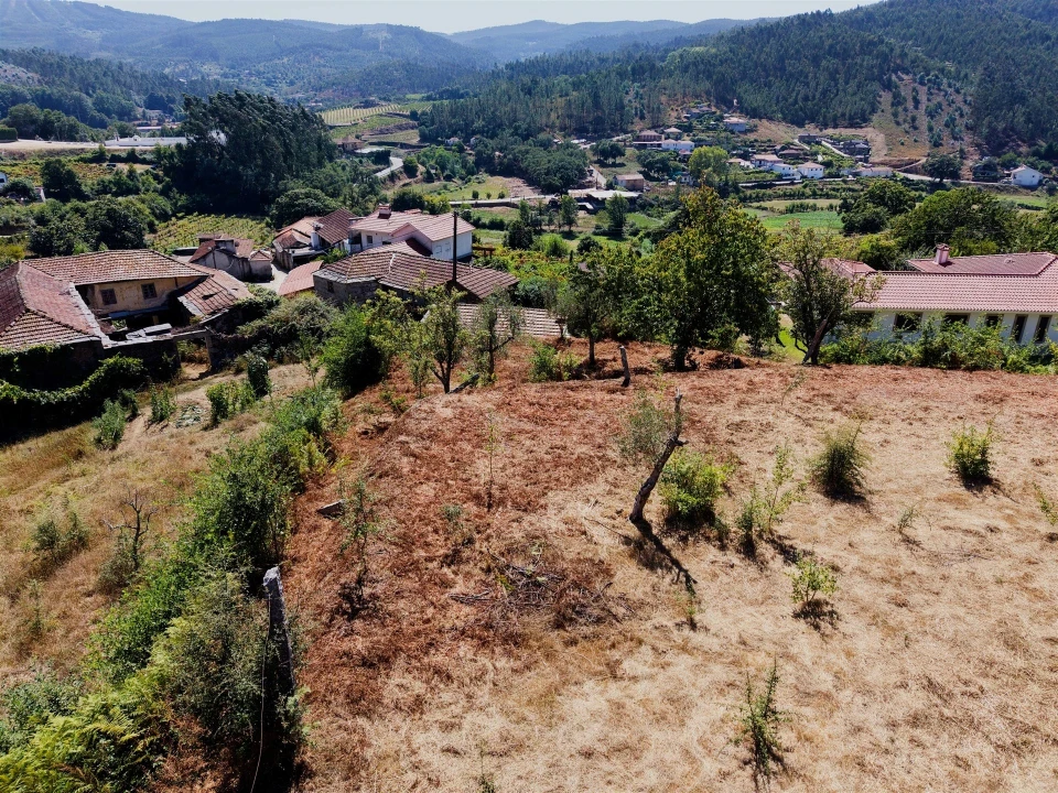 Terreno para Venda em Real Foto 26