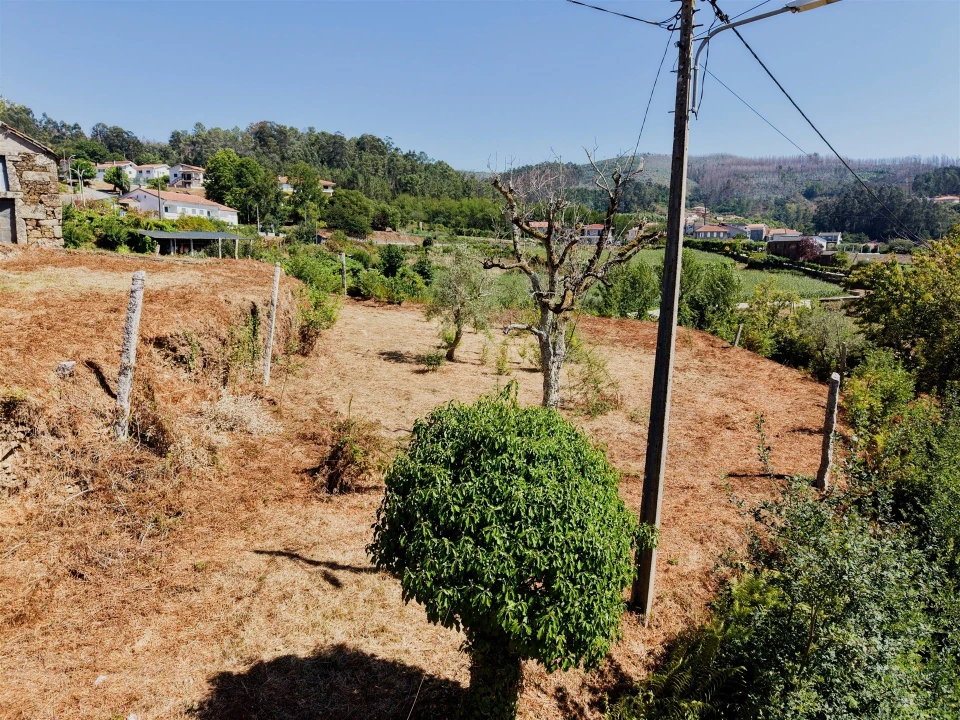 Terreno para Venda em Real Foto 12