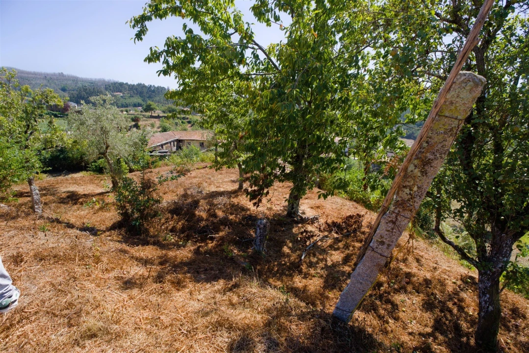 Terreno para Venda em Real Foto 7