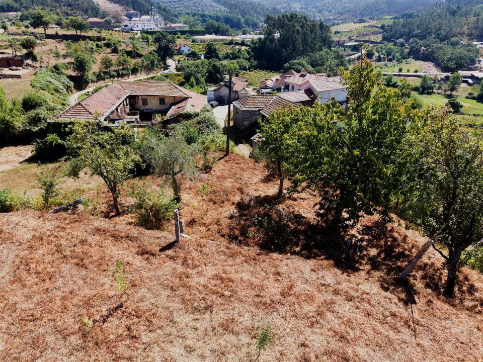 Terreno para Venda em Real Foto 14