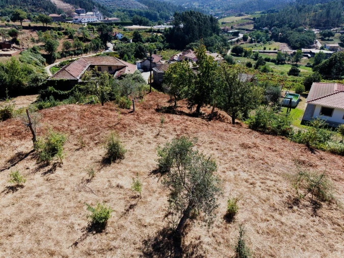 Terreno para Venda em Real Foto 15