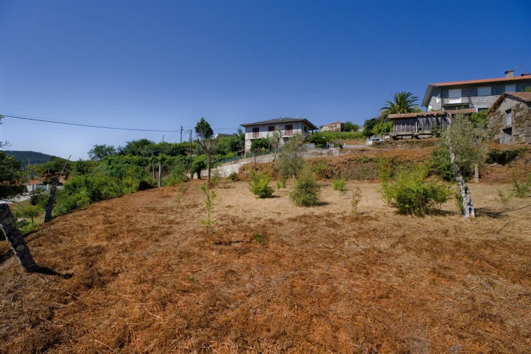 Terreno para Venda em Real Foto 2