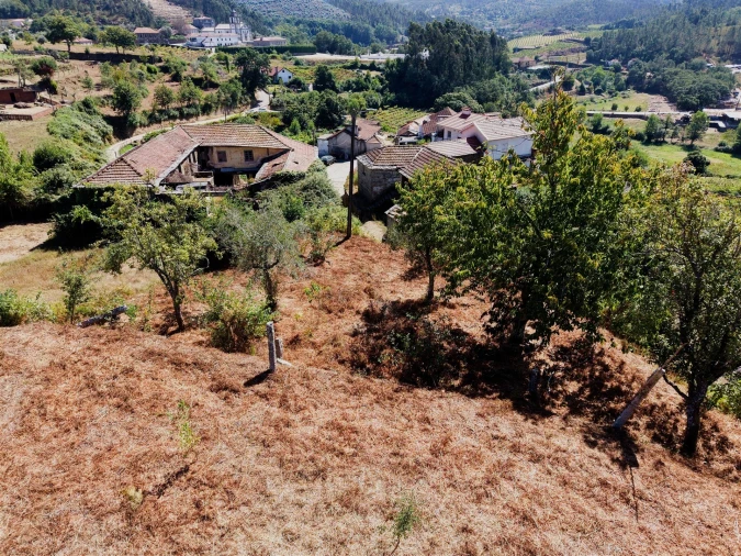Terreno para Venda em Real Foto 14
