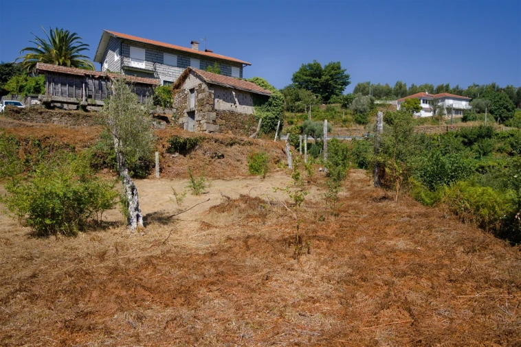 Terreno para Venda em Real Foto 3