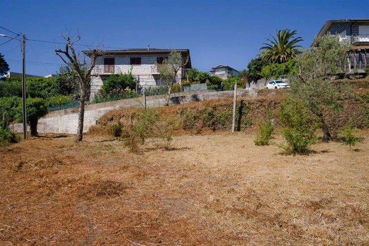 Terreno para Venda em Real Foto 4