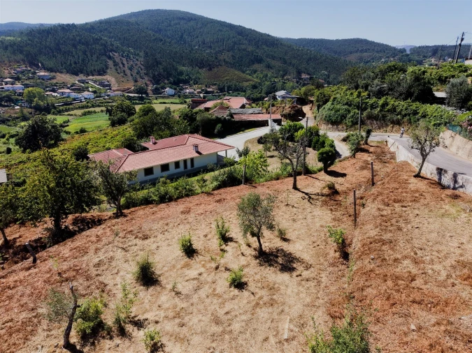Terreno para Venda em Real Foto 28