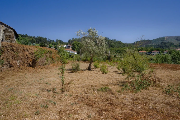 Terreno para Venda em Real Foto 10