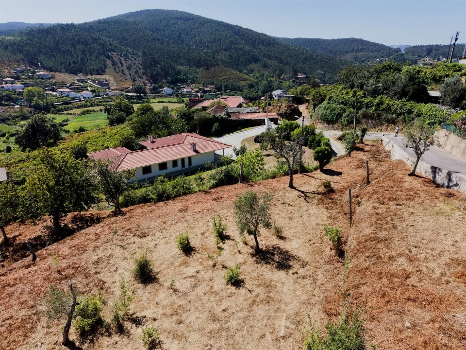 Terreno para Venda em Real Foto 28