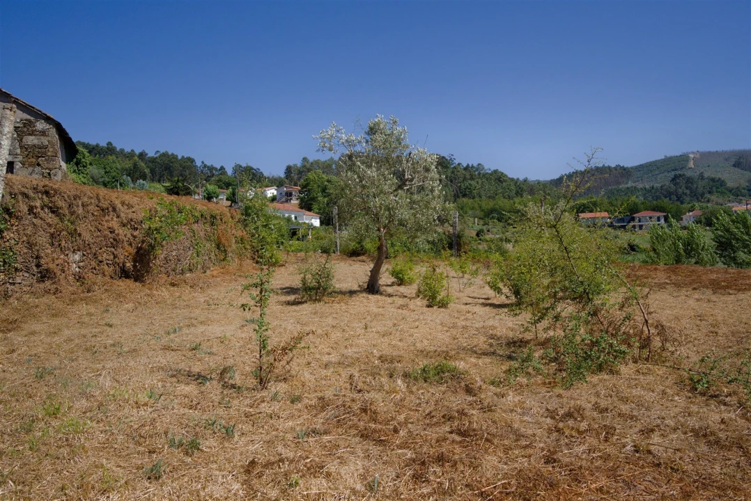 Terreno para Venda em Real Foto 10