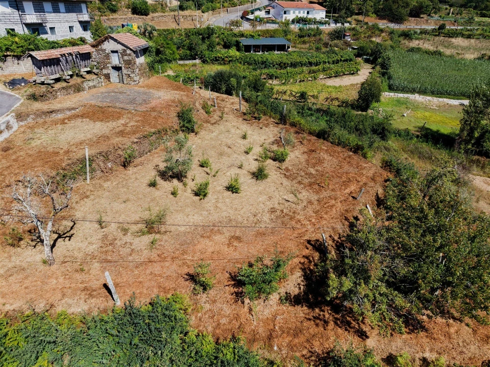 Terreno para Venda em Real Foto 21