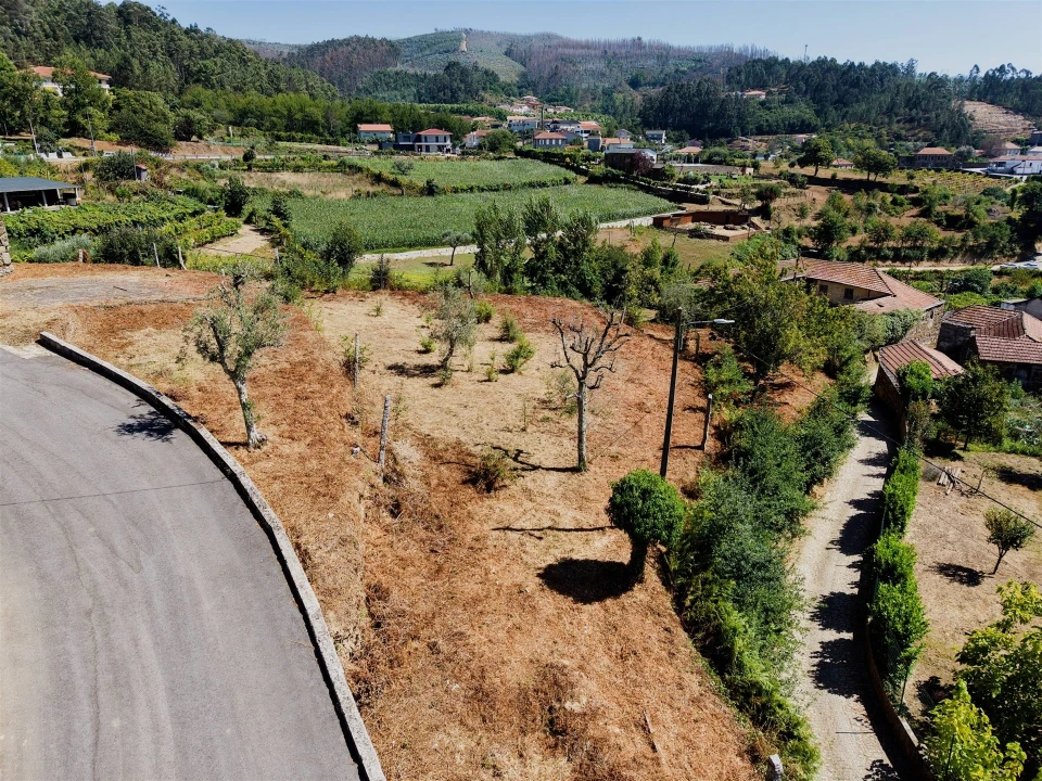 Terreno para Venda em Real Foto 29