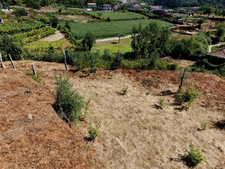 Terreno para Venda em Real Foto 16