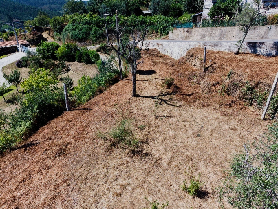 Terreno para Venda em Real Foto 13