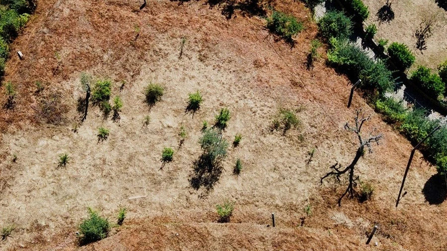 Terreno para Venda em Real