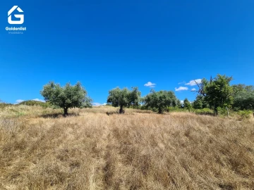 Quinta T1 para Venda em Caria
