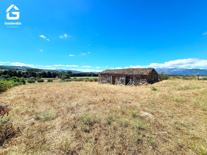 Quinta T0 para Venda em Caria Foto 4