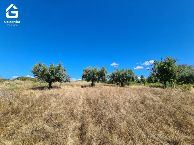 Quinta T0 para Venda em Caria Foto 14