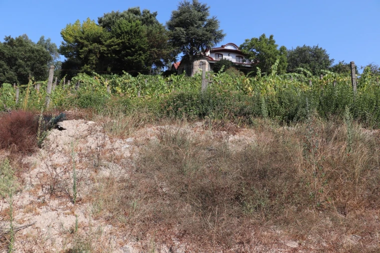 Terreno para Venda em Polvoreira Foto 5