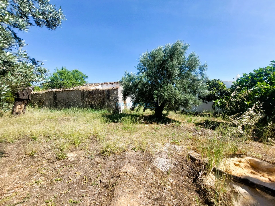 Terreno Misto para Venda em Santa Barbara de Nexe Foto 4