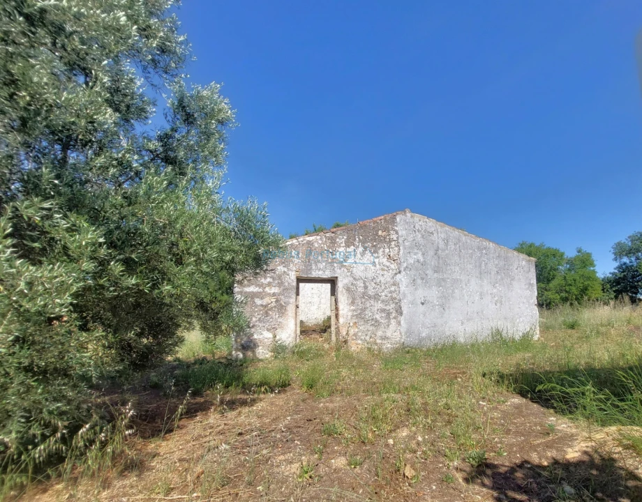 Terreno Misto para Venda em Santa Barbara de Nexe Foto 3
