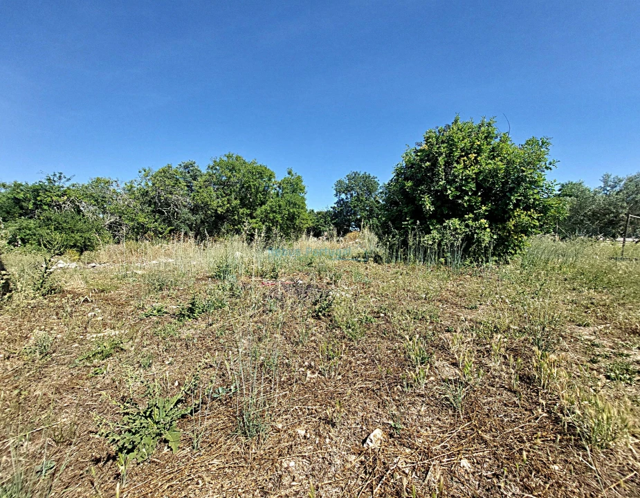 Terreno Misto para Venda em Santa Barbara de Nexe Foto 14