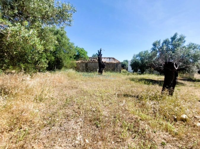 Terreno Misto para Venda em Santa Barbara de Nexe Foto 15