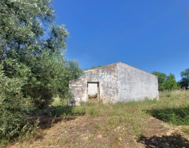 Terreno Misto para Venda em Santa Barbara de Nexe Foto 3