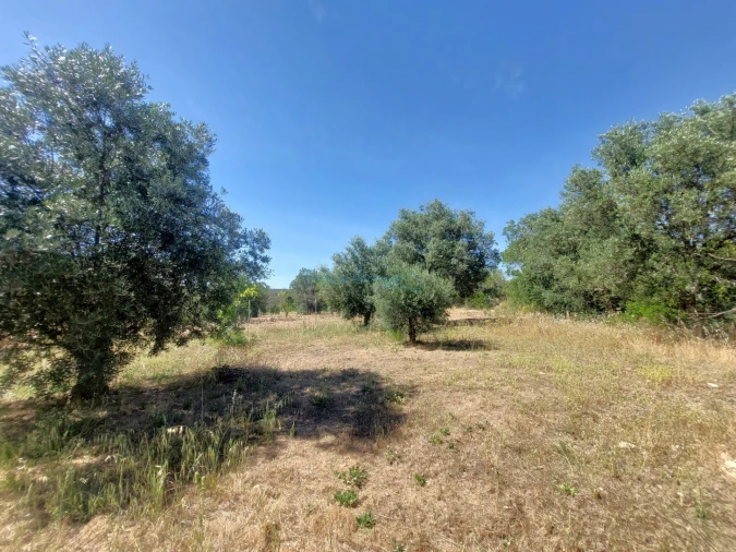 Terreno Misto para Venda em Santa Barbara de Nexe Foto 8