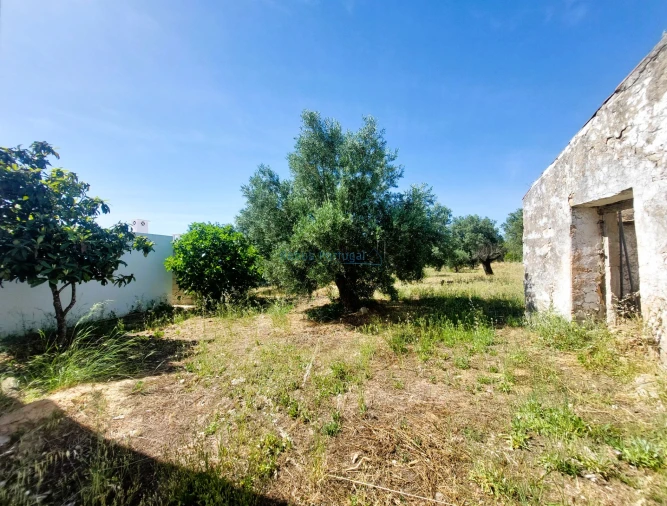 Terreno Misto para Venda em Santa Barbara de Nexe Foto 5