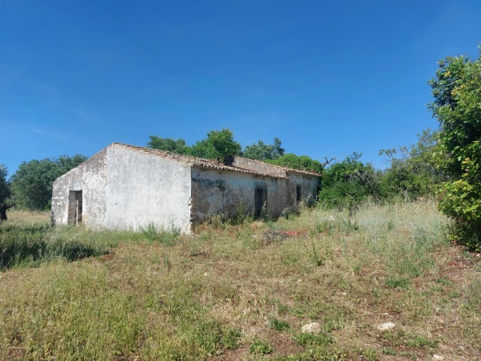 Terreno Misto para Venda em Santa Barbara de Nexe Foto 2