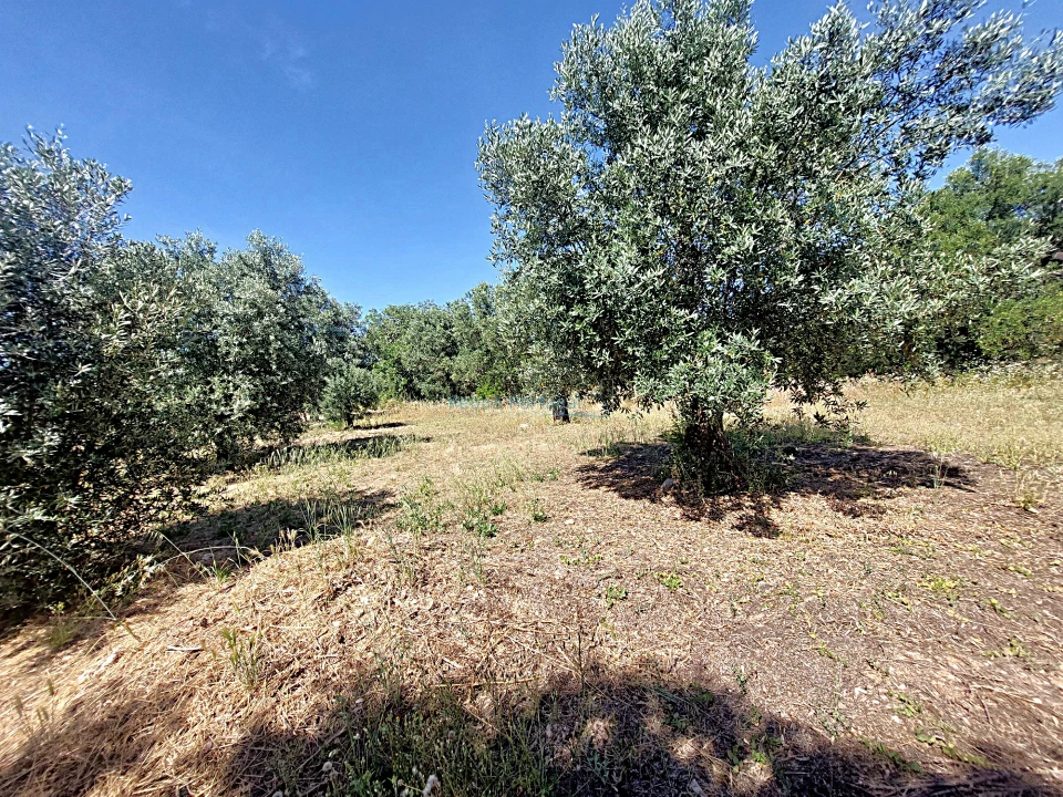 Terreno Misto para Venda em Santa Barbara de Nexe Foto 7