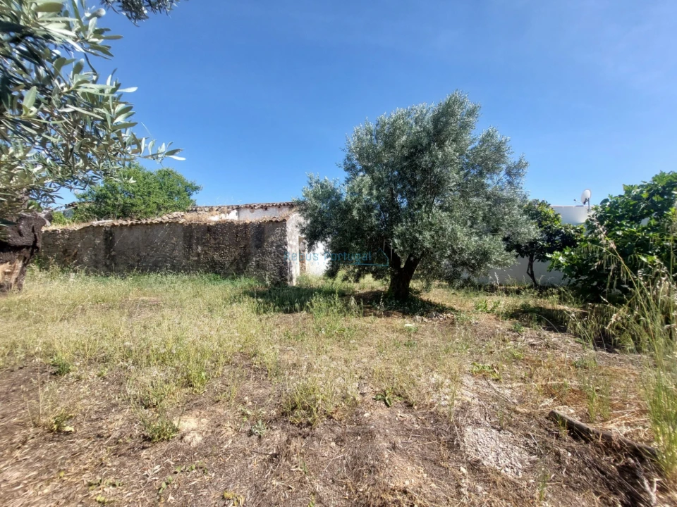Terreno Misto para Venda em Santa Barbara de Nexe Foto 13