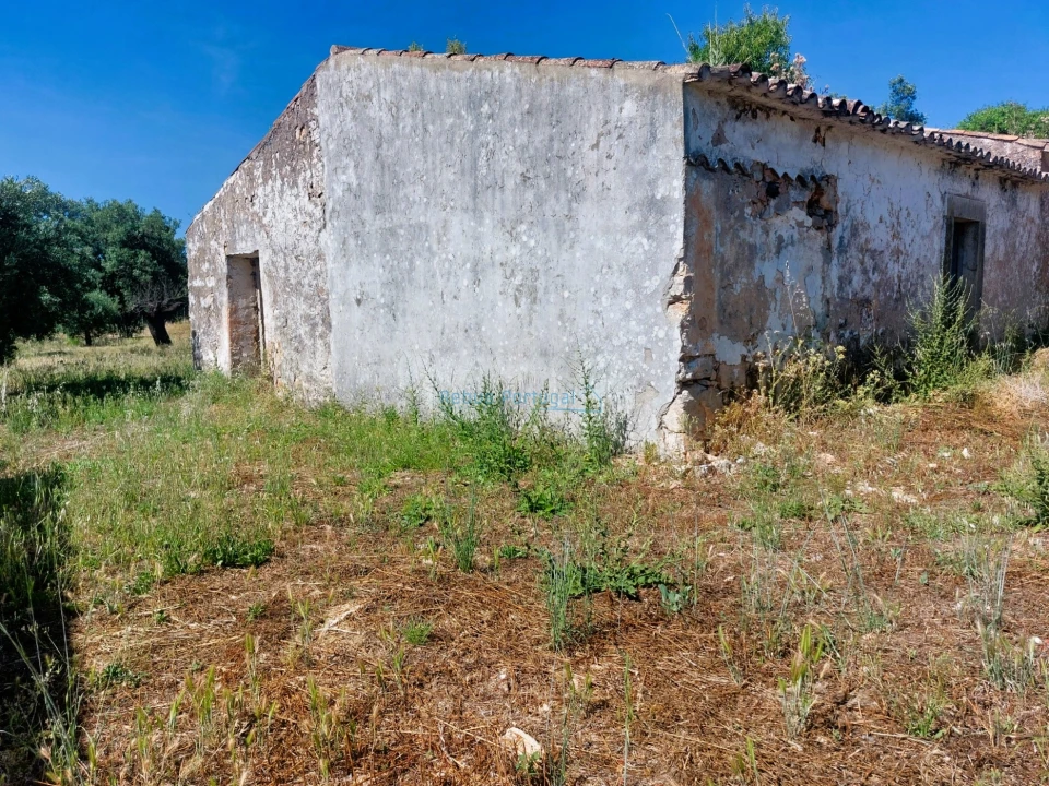 Terreno Misto para Venda em Santa Barbara de Nexe Foto 11