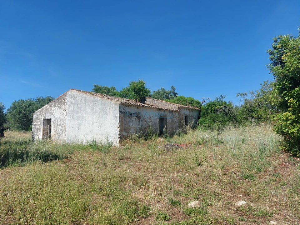 Terreno Misto para Venda em Santa Barbara de Nexe Foto 2