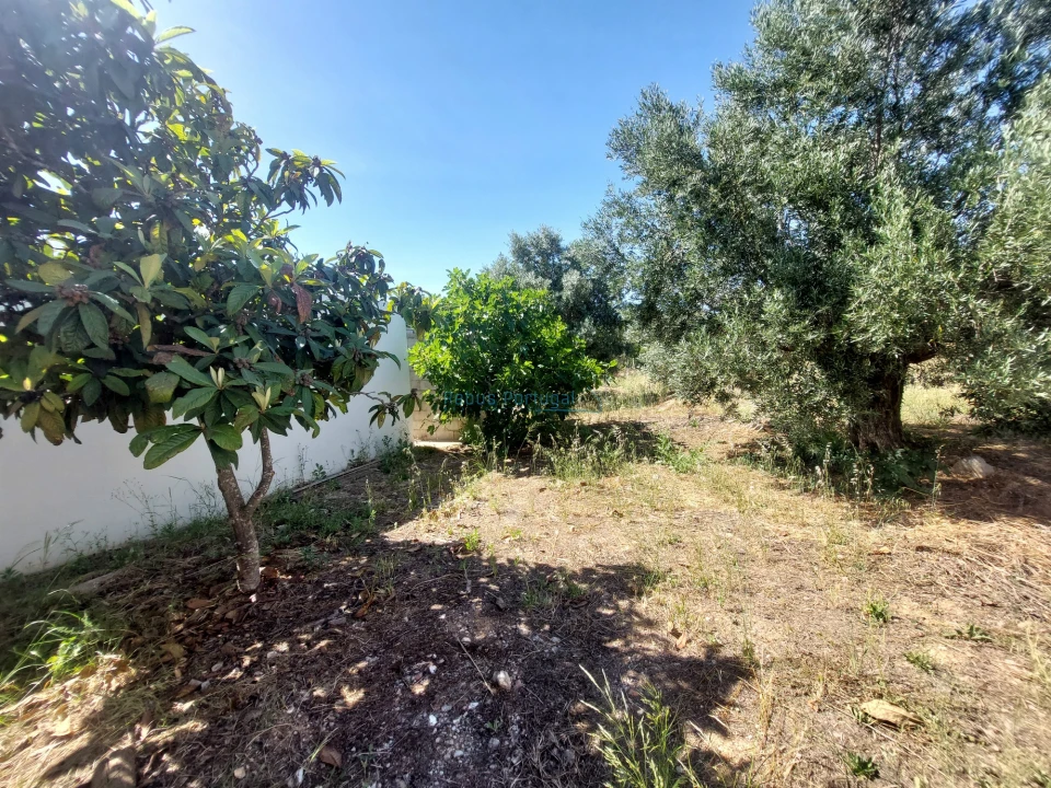 Terreno Misto para Venda em Santa Barbara de Nexe Foto 6