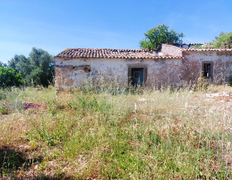 Terreno Misto para Venda em Santa Barbara de Nexe Foto 12