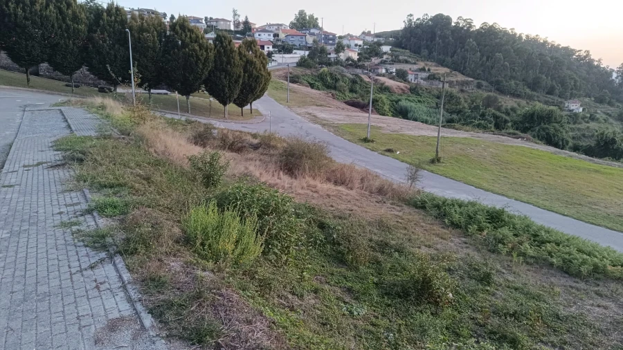 Terreno para Venda em Vila Verde e Santão Foto 6