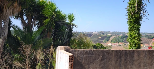 Moradia T1 para Venda em Nossa Senhora do Pópulo, Coto e São Gregório