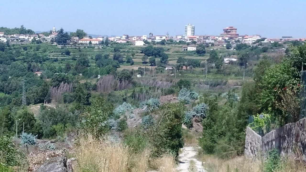 Terreno para Venda em Penafiel Foto 3