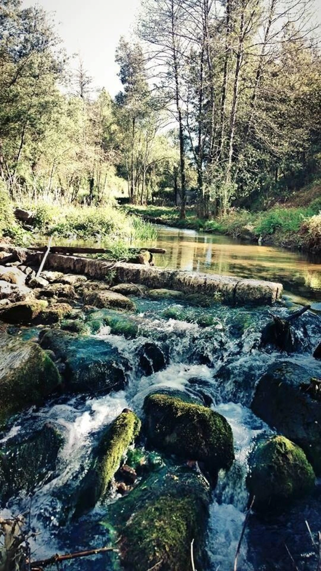 Terreno para Venda em Penafiel Foto 18