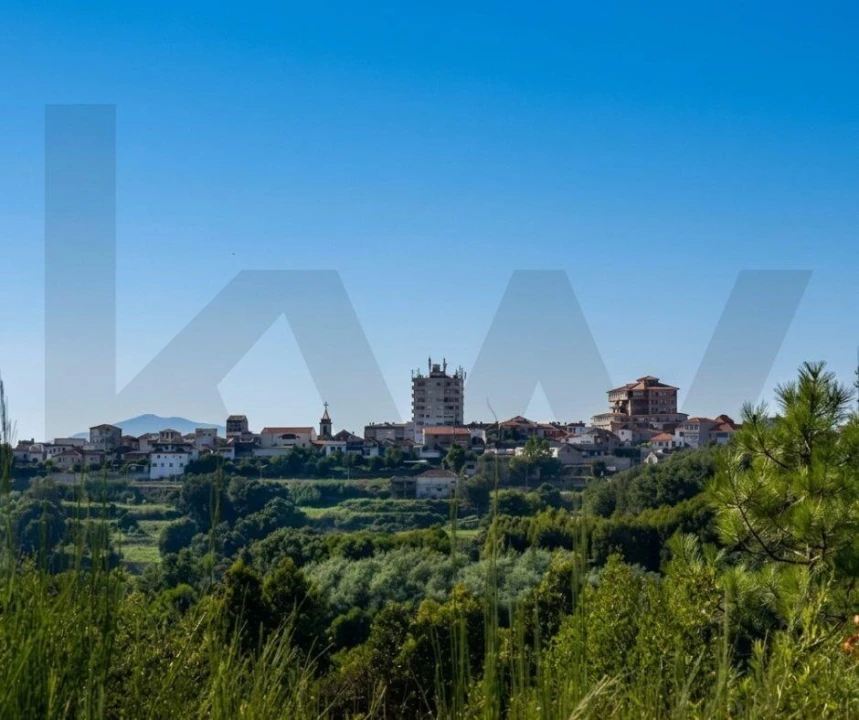 Terreno para Venda em Lagares e Figueira Foto 4