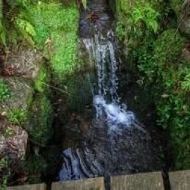 Terreno para Venda em Lagares e Figueira