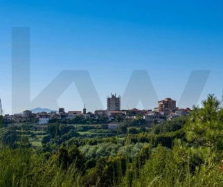 Terreno para Venda em Lagares e Figueira