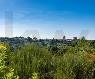Terreno para Venda em Lagares e Figueira