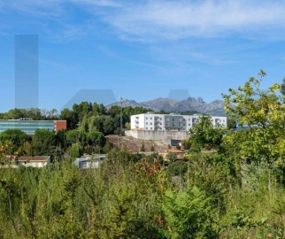 Terreno para Venda em Lagares e Figueira