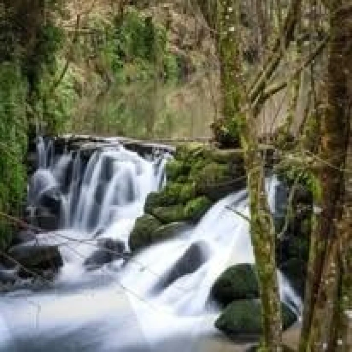 Terreno para Venda em Lagares e Figueira Foto 5